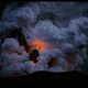 Image for article titled Gorgeous Tree of Life stills look like the greatest science epic of all time